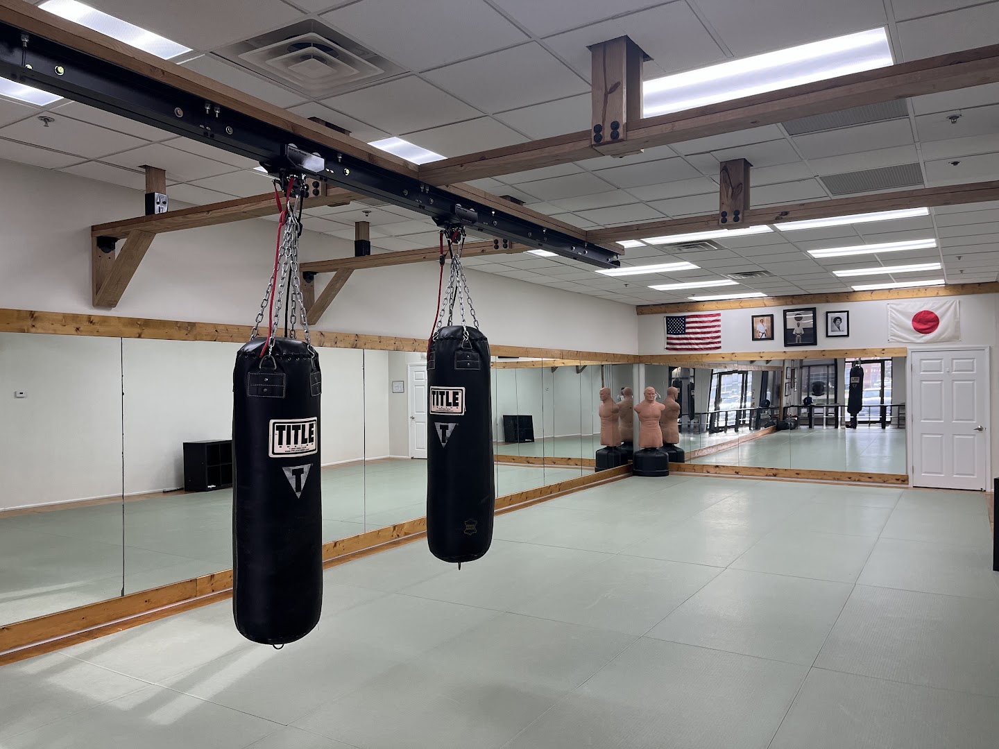Two heavy bags suspended from the overhead rail system above the dojo mats